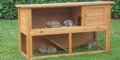 onvoorwaardelijk Tranen Tol Maten konijnenhok/kooi - dierenvangnet.nl