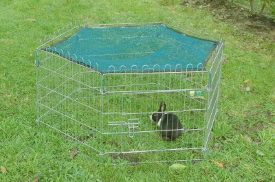 onvoorwaardelijk Tranen Tol Maten konijnenhok/kooi - dierenvangnet.nl