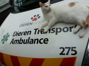 Jottum op ambulance